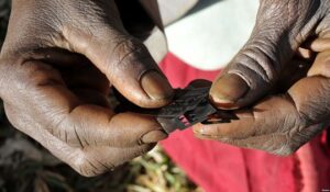 Sudan: le mutilazioni genitali sono finalmente reato