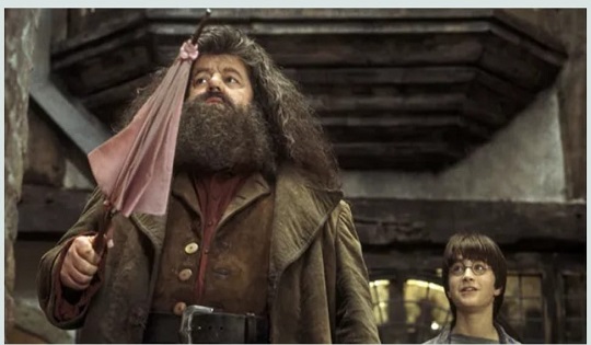 Hagrid: l’energia propulsiva