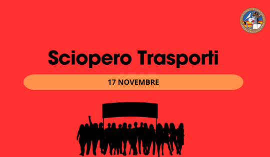 17 novembre: perché si sciopera?