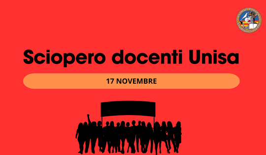 17 novembre: perché i docenti scioperano?